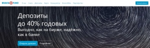Bravia Fund
