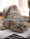 (A112) Андрей