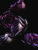 (Anna2705) Anna