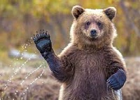 (Intelligencer.rus) Ivan