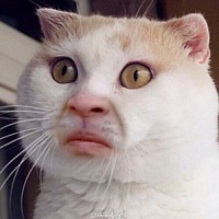 (Артикуль) Артур