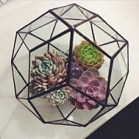 (mary.vo1kova) Мария Волкова