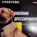 Электронный ошейник SmartDog