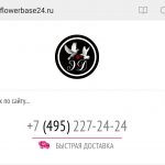 Flowerbase24.ru — интернет-магазин цветов