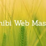 chibi web master — блог веб-мастера