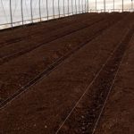 «БиоГрунт» — грунт для теплицы с доставкой по Москве и области