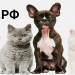 Интернет-магазин клетки-почтой.рф