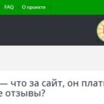 Котопрофи, kotoprofi.com