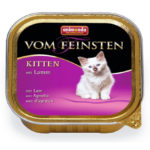 Amanova Kitten