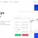 Binaryx, binaryx.com
