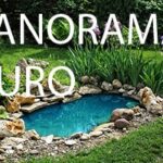 Panorama Buro