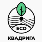 Квадрига