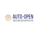 Магазин автозапчастей Auto Open