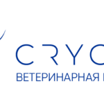 Криовет