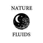 NF Store