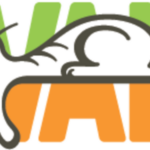 Divano