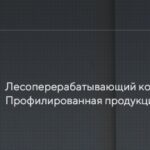 Лесоперерабатывающий комплекс Сибирь