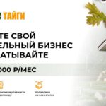 Франшиза Каркас Тайги