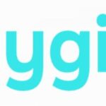 Paygine