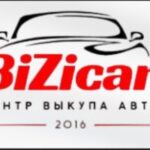 Бизикар