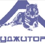 Фуджитора