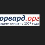 Форвард, Саратов