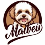 Матвей и его команда, ИП
