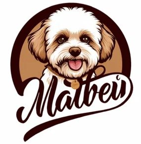 Матвей и его команда, ИП