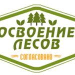 Лесная декларация подача СПб