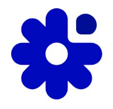 ROMASHKA MEDIA