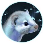 WeaselCloud